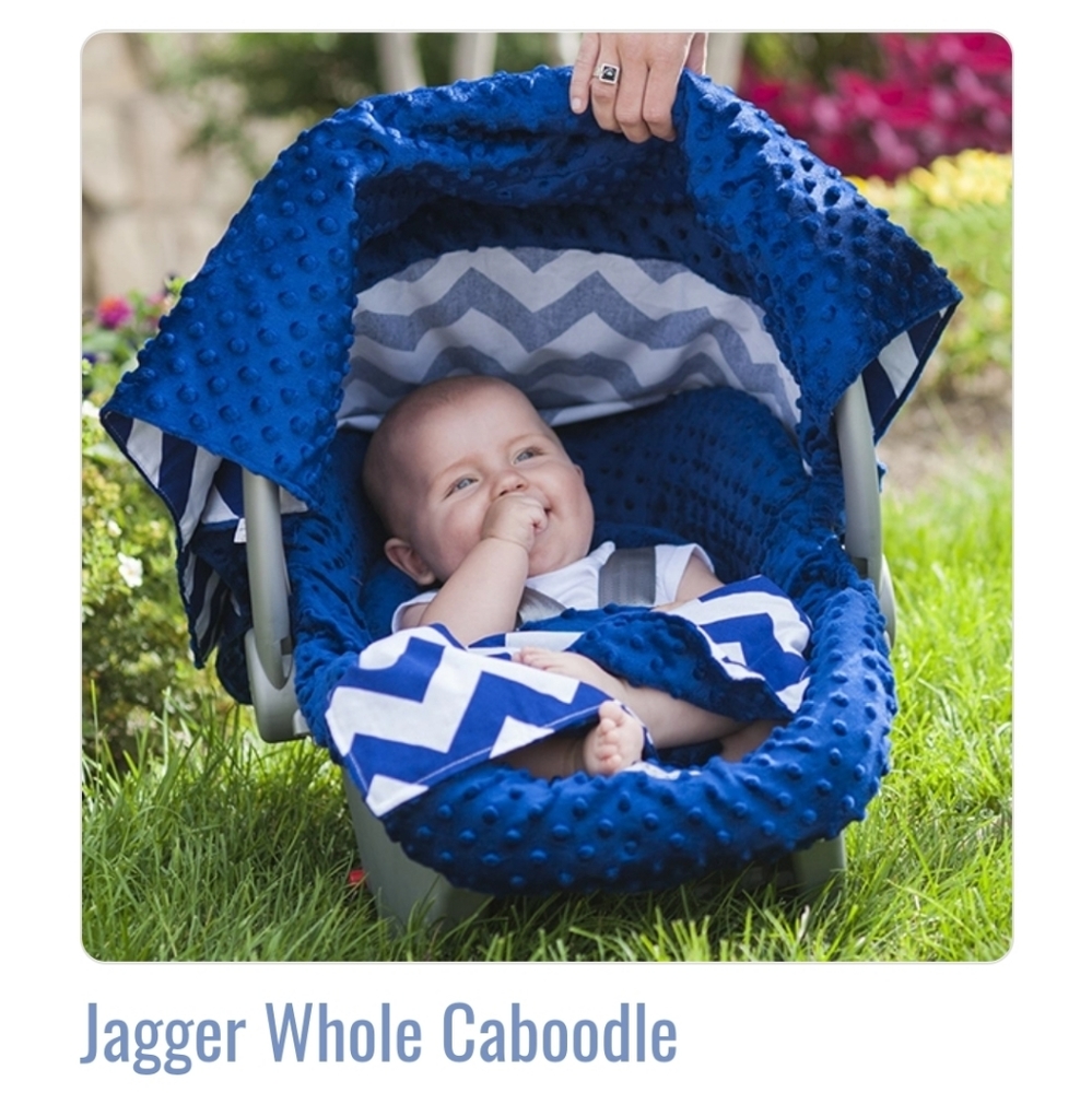 Chevron car seat canopy caboodle